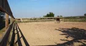 Campo esterno secondario