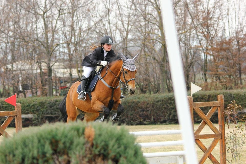 Cavaliere in salto ostacoli all'aperto